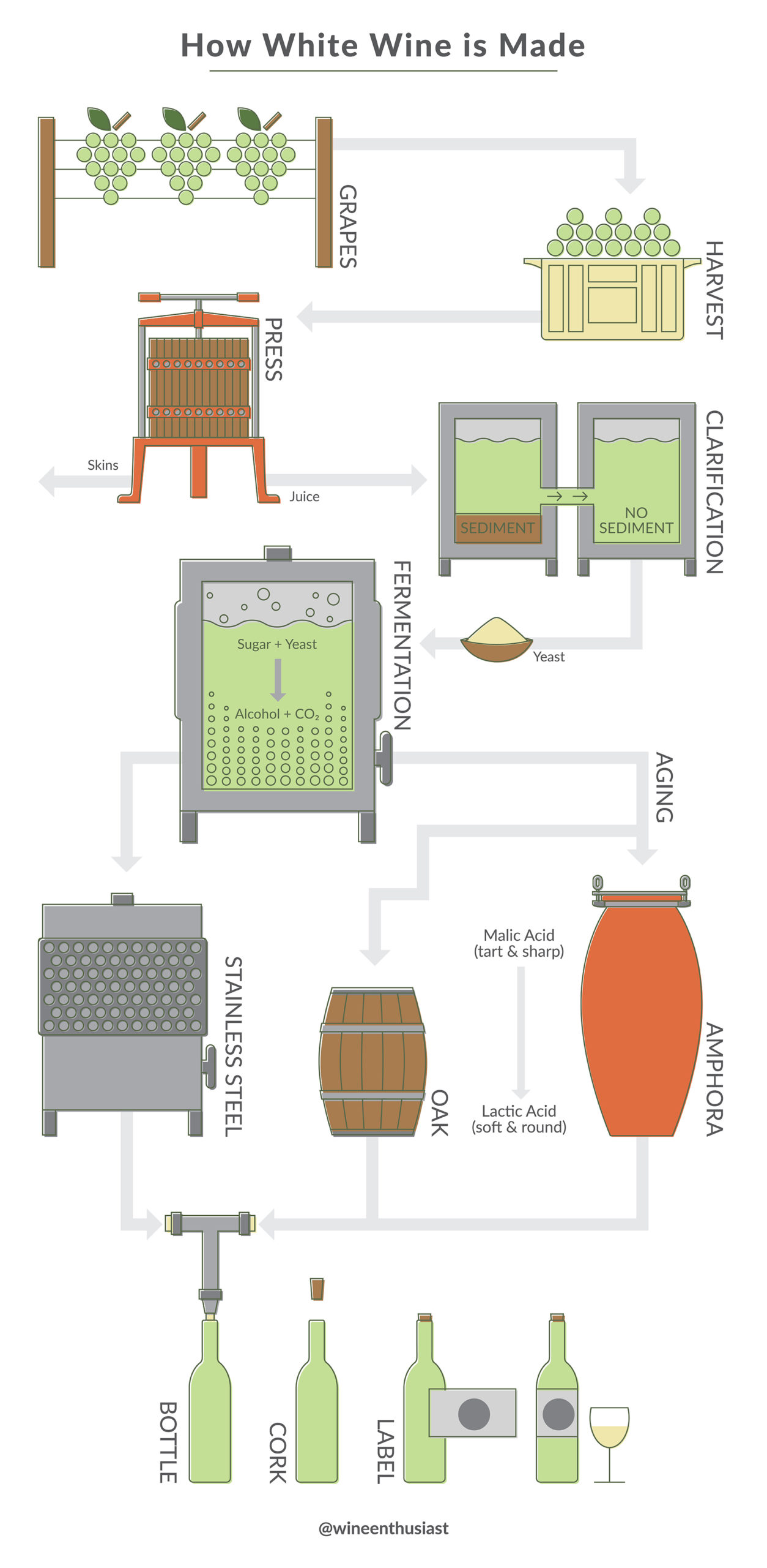 White-Wine-Making-Diagram