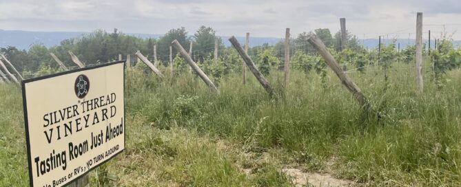 Sign-by-vineyard