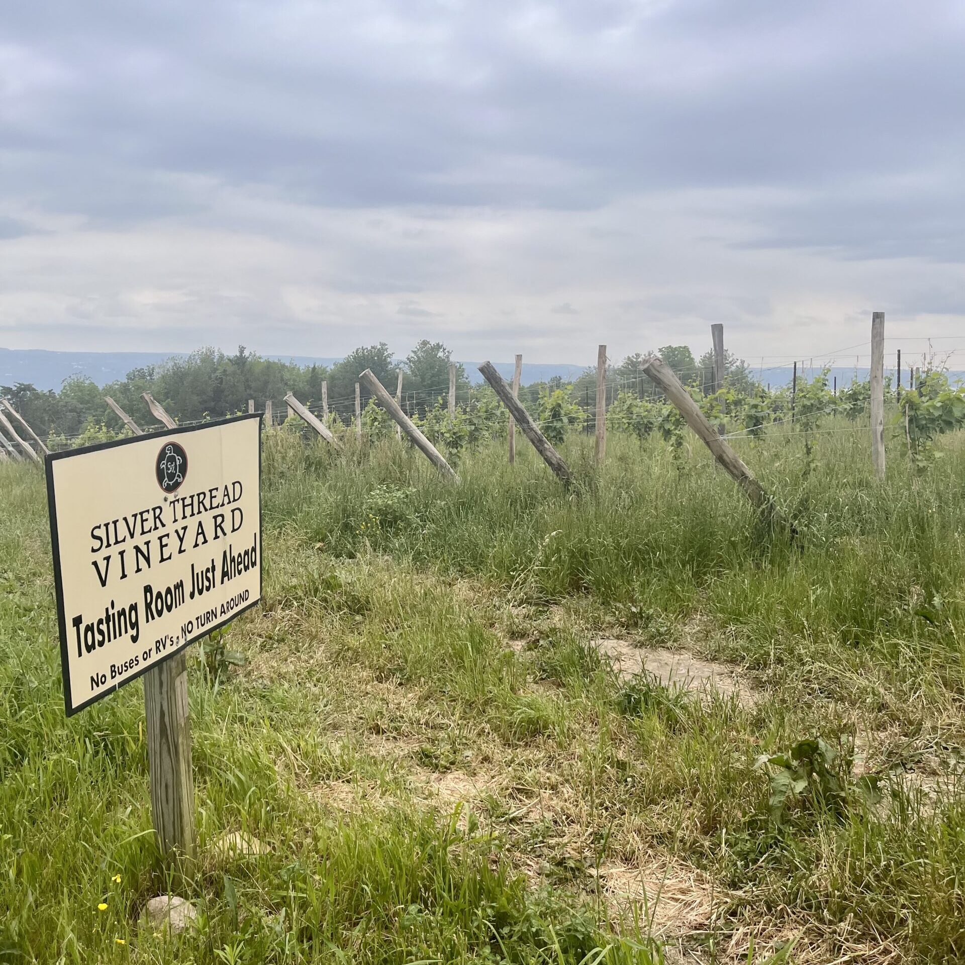 Sign-by-vineyard