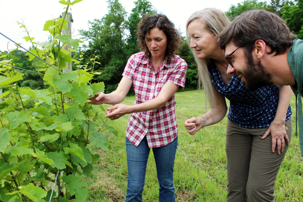 Vineyard Tour with Shannon Brock, Silver Thread Owner