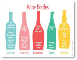 wine bottles illustrated graphic