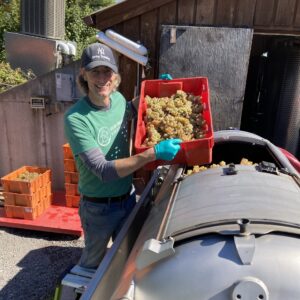 Winemaker with hand tote of Riesling grapes.