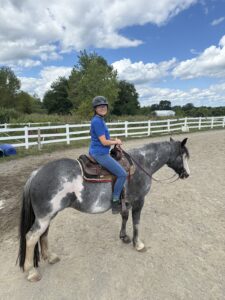 Rider in blue on a roan horse.